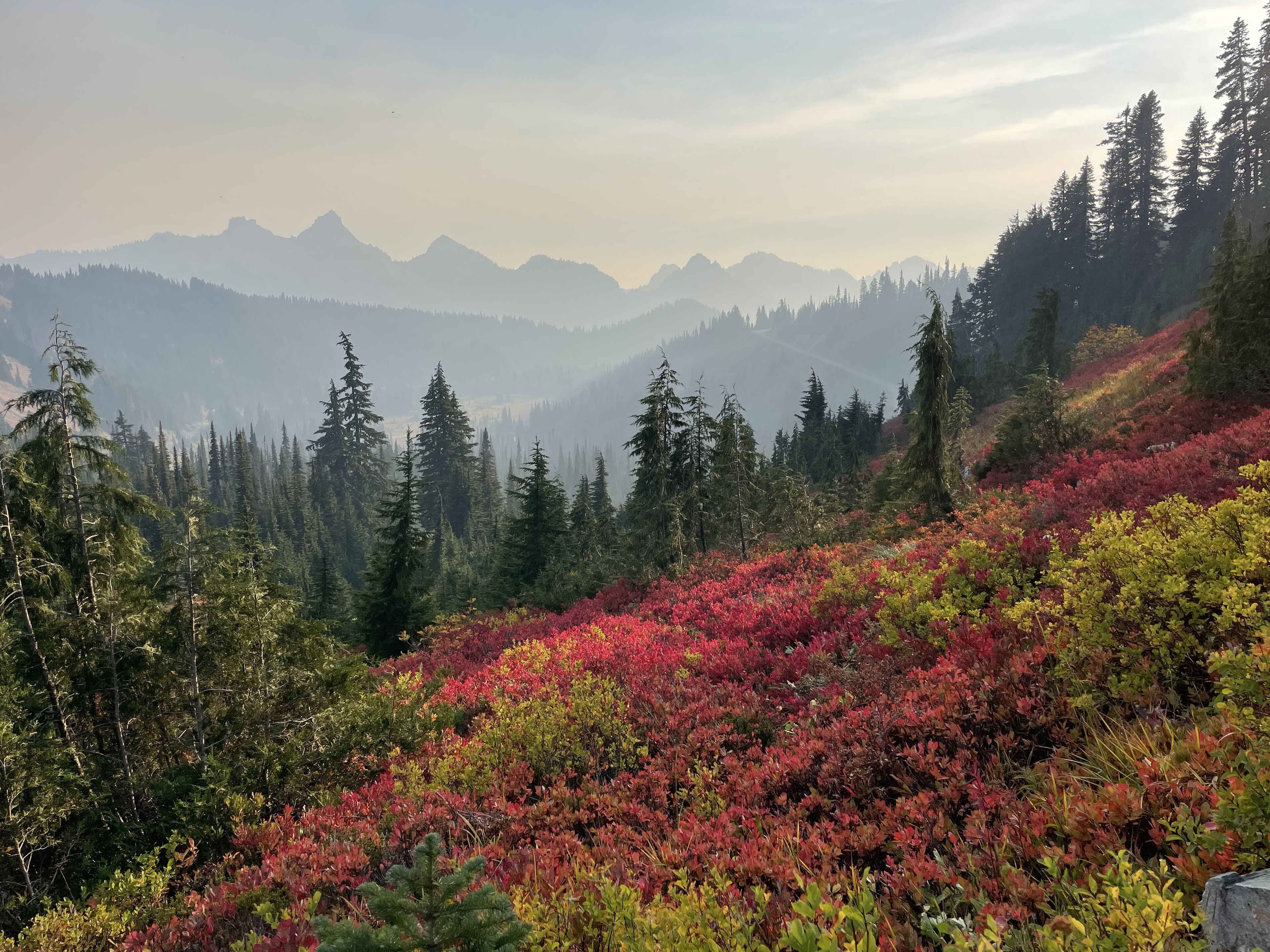Skyline Trail